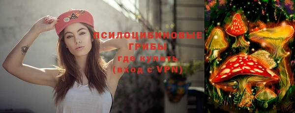 метадон Осташков