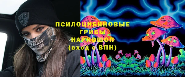 spice Пестово