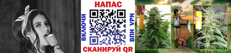как найти закладки  Спас-Клепики  Бошки марихуана конопля 